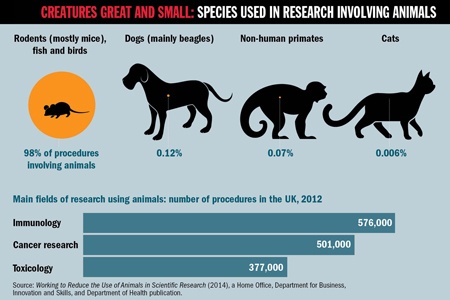 Why animal researchers are ending their silence | Times Higher ...