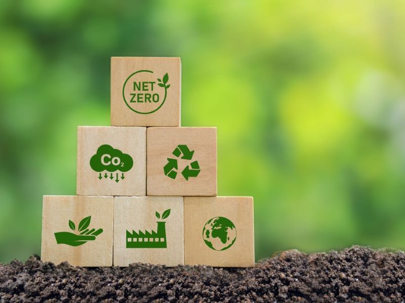 Carbon offsetting: yes or no? | THE Campus Learn, Share, Connect - Vimarsana News