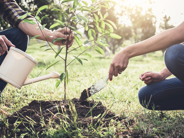 Making sustainability part of university DNA - Vimarsana News
