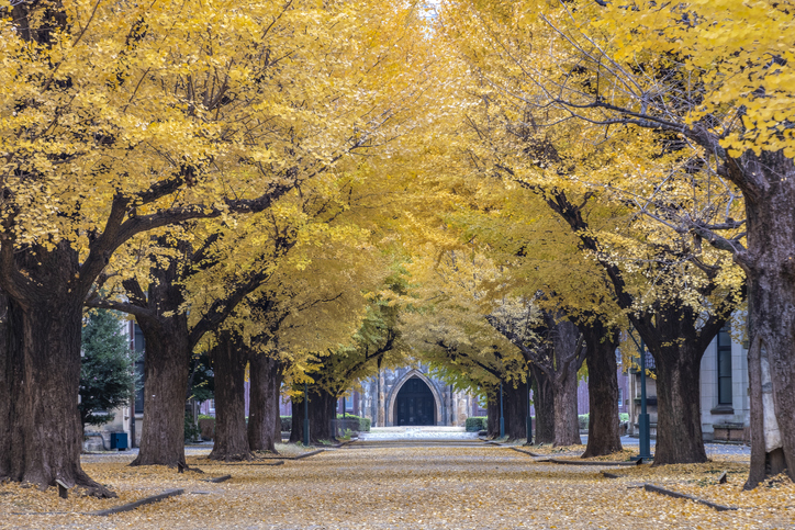 How to use campus design to nurture belonging| THE Campus Learn, Share, Connect - Vimarsana News