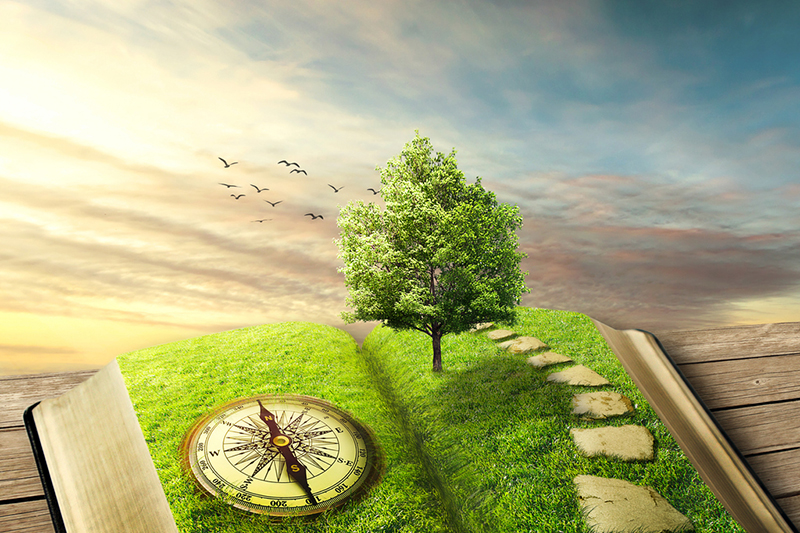 How storytelling boosts environmental impact and engagement - Vimarsana News