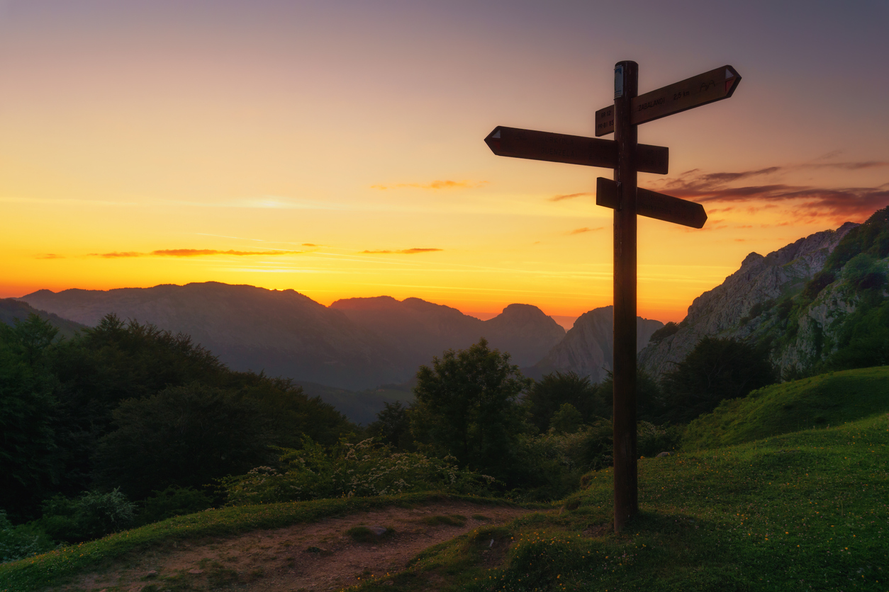 Signposts pointing in several different directions