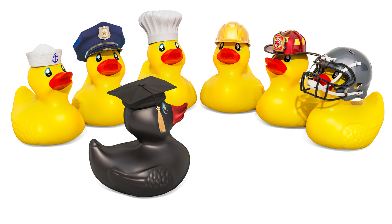 Rubber ducks, dressed for different jobs