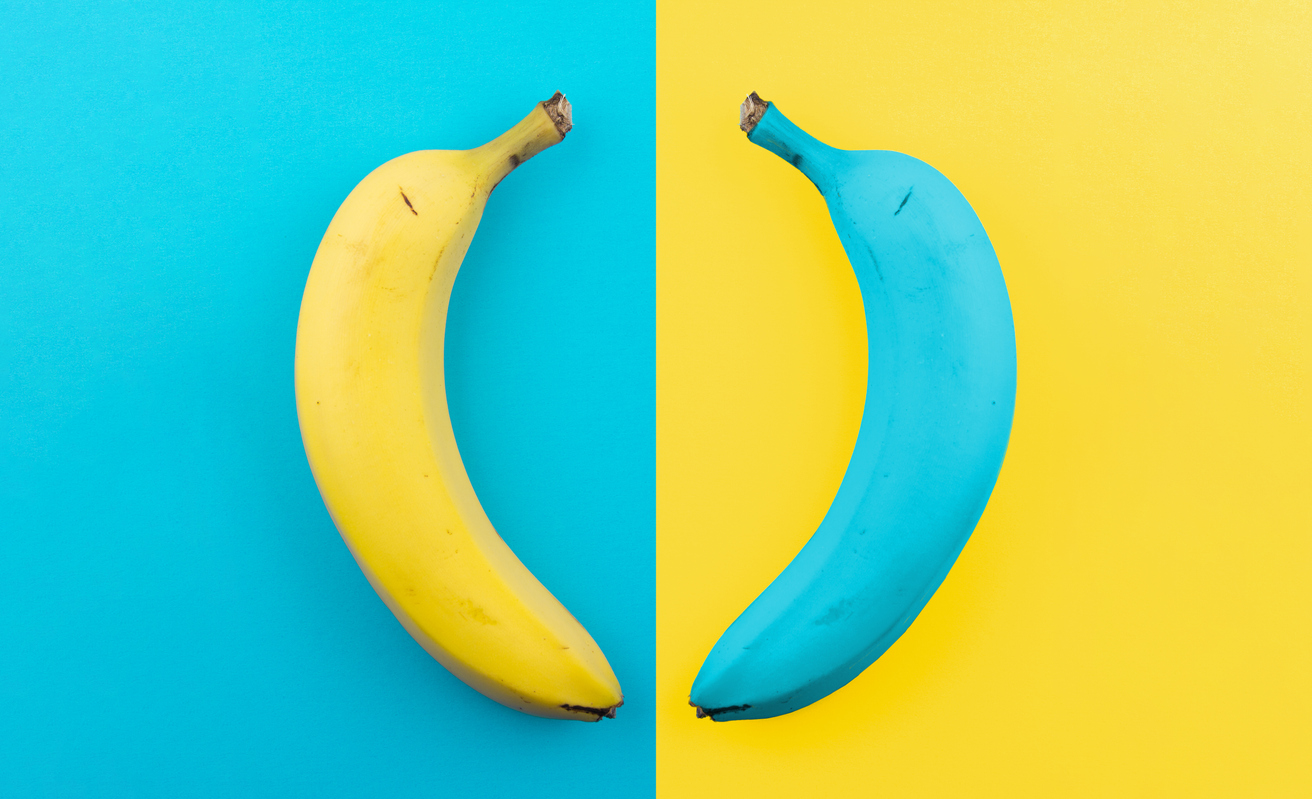 Yellow banana on blue background and blue banana on yellow background