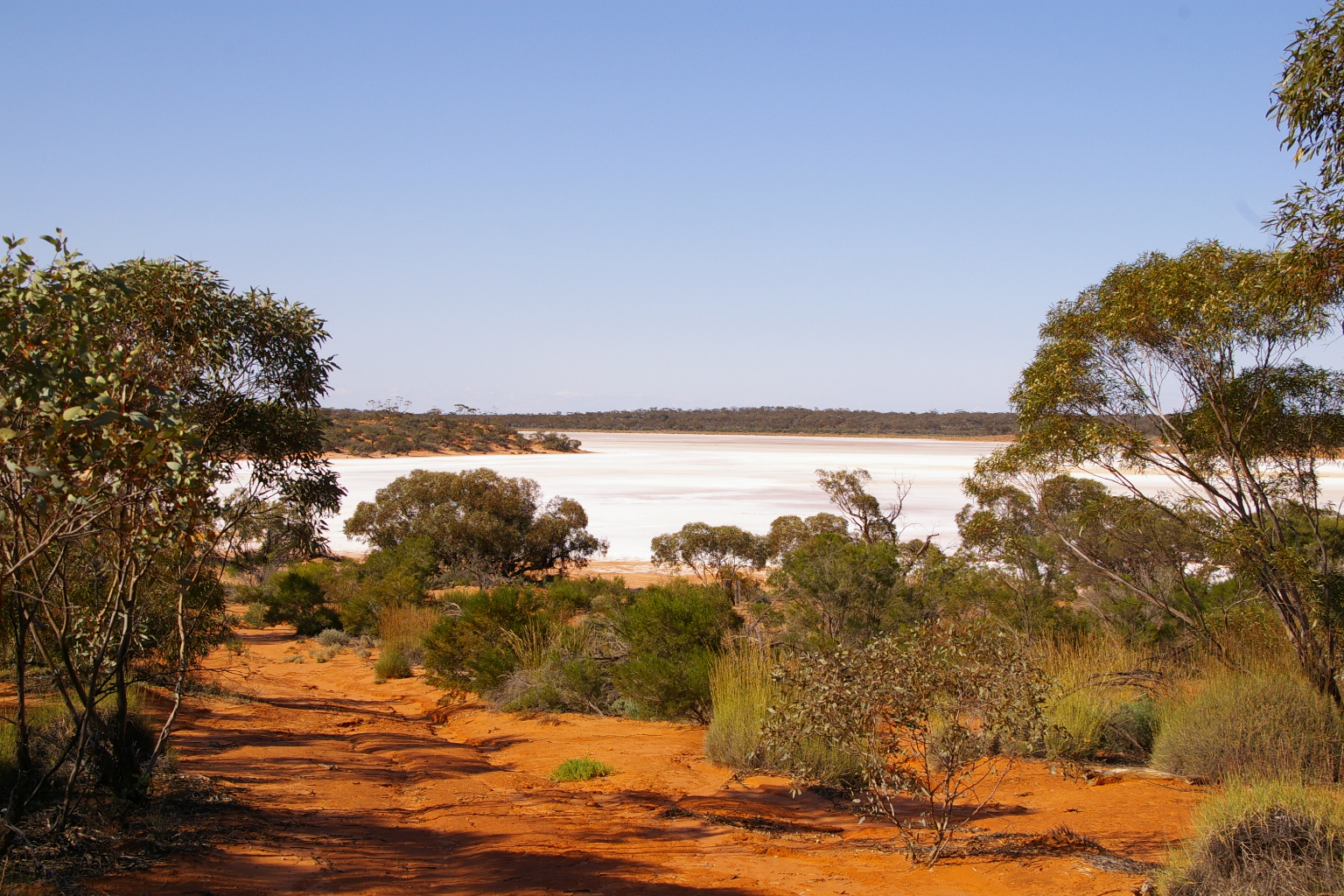 Salt lake at Nanya Station_Prof Martin Westbrooke