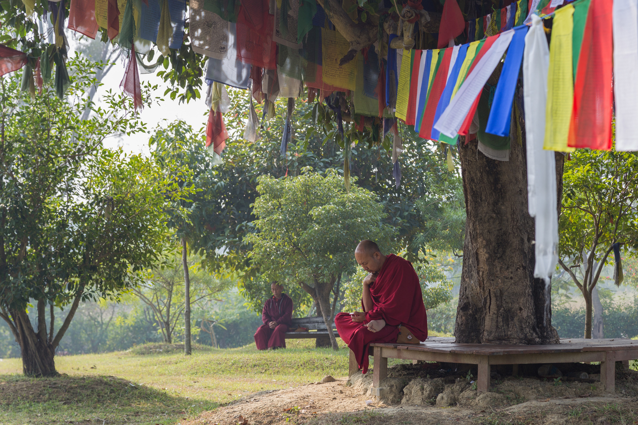 Buddhist monk reads underneath prayer flags in Nepal