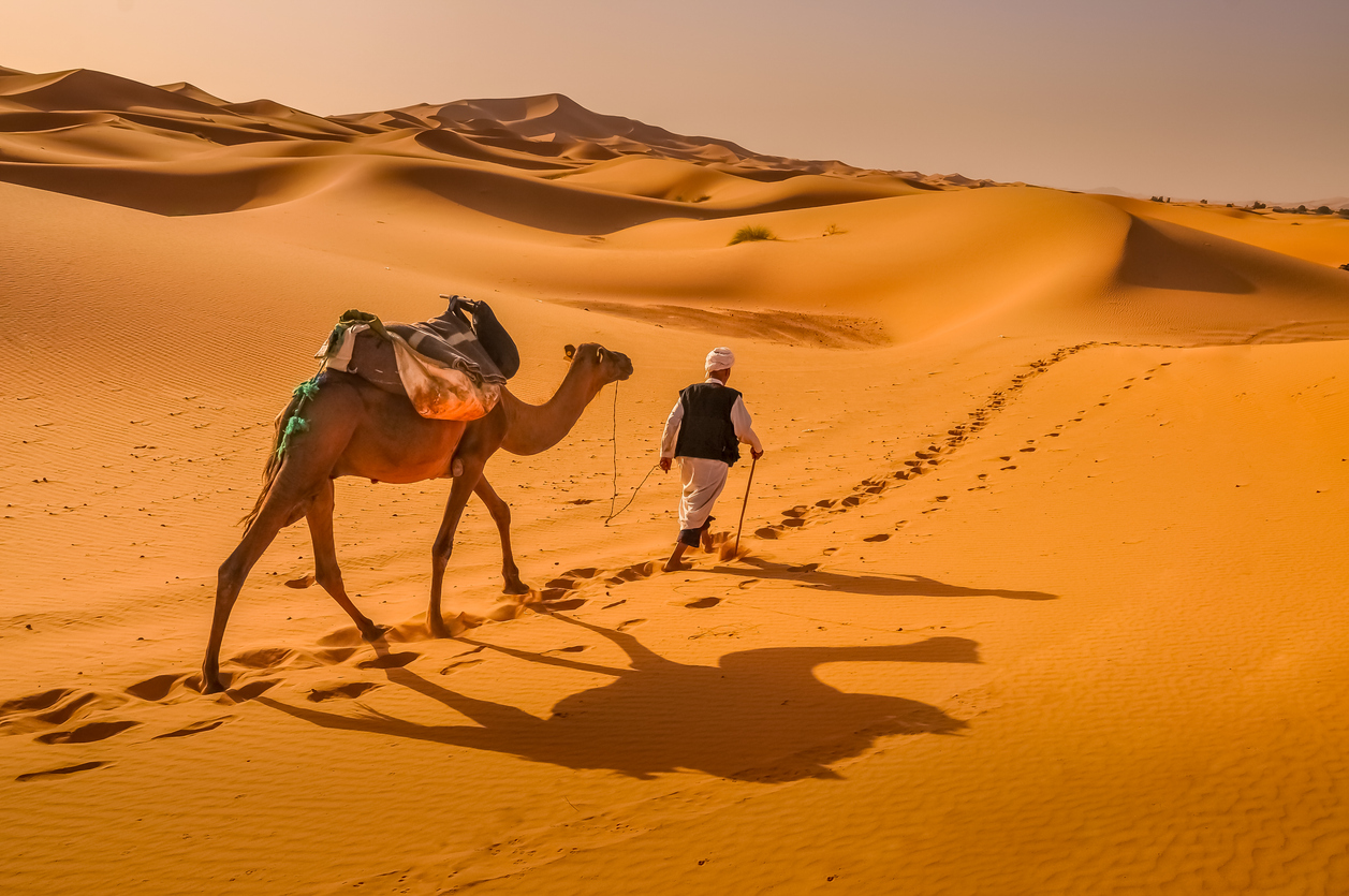 Man leading camel through the Sahara desert