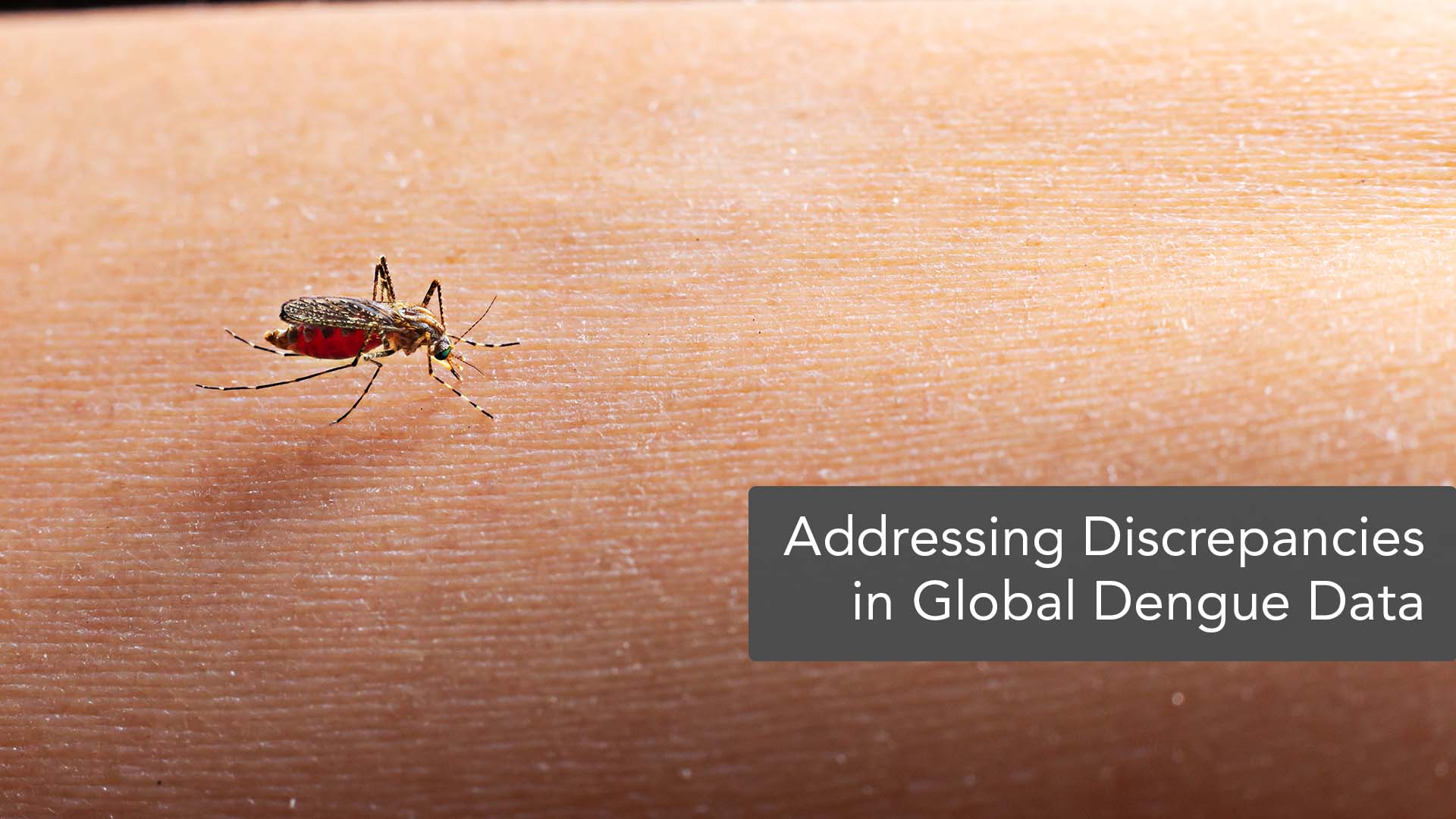 Truth About Dengue: How Accurate Are Global Disease Estimates?