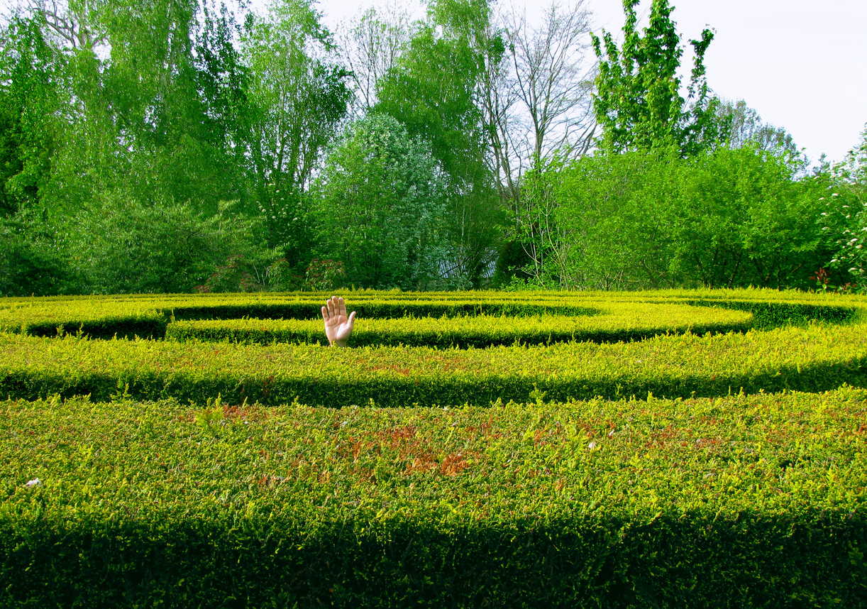 Hand waving in middle of maze