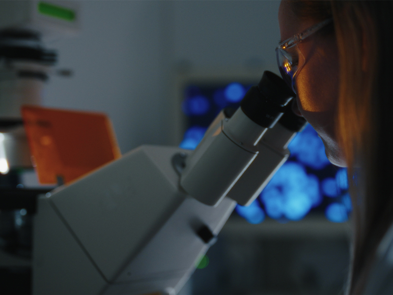 Doctor looks into microscope in a laboratory