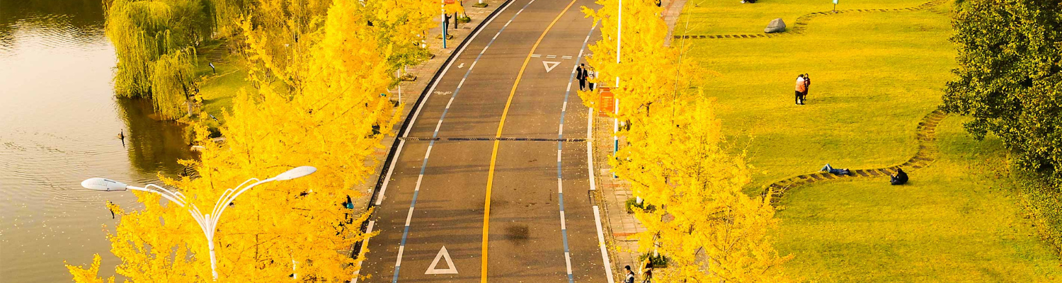 Chongqing University CQU