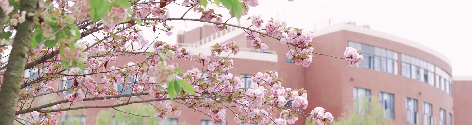 Chengdu University