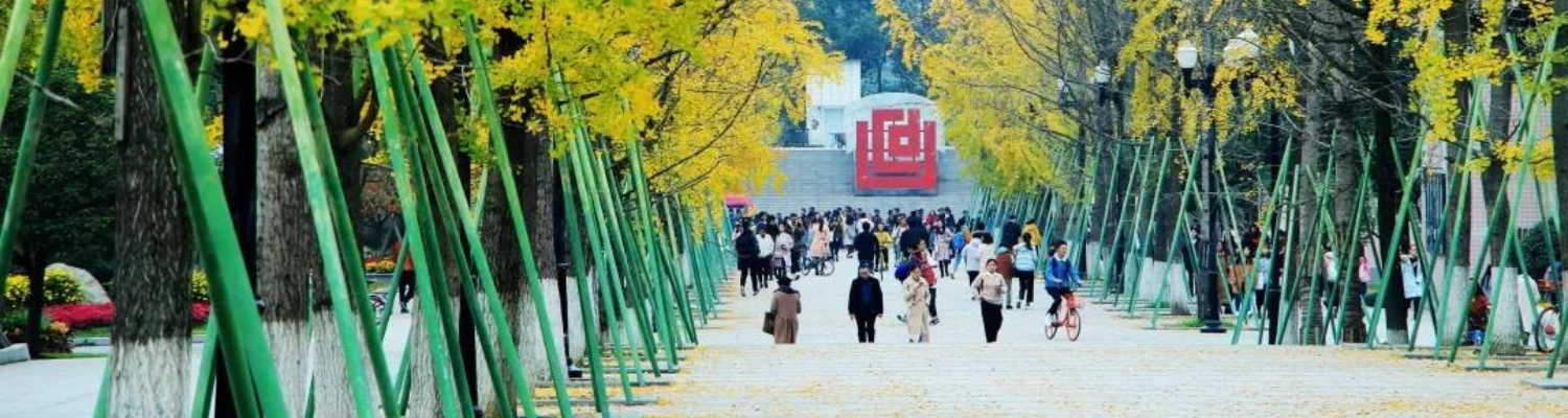 Chengdu University