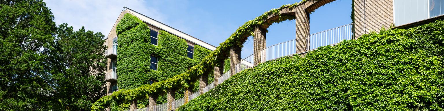 gallery image arches.jpg