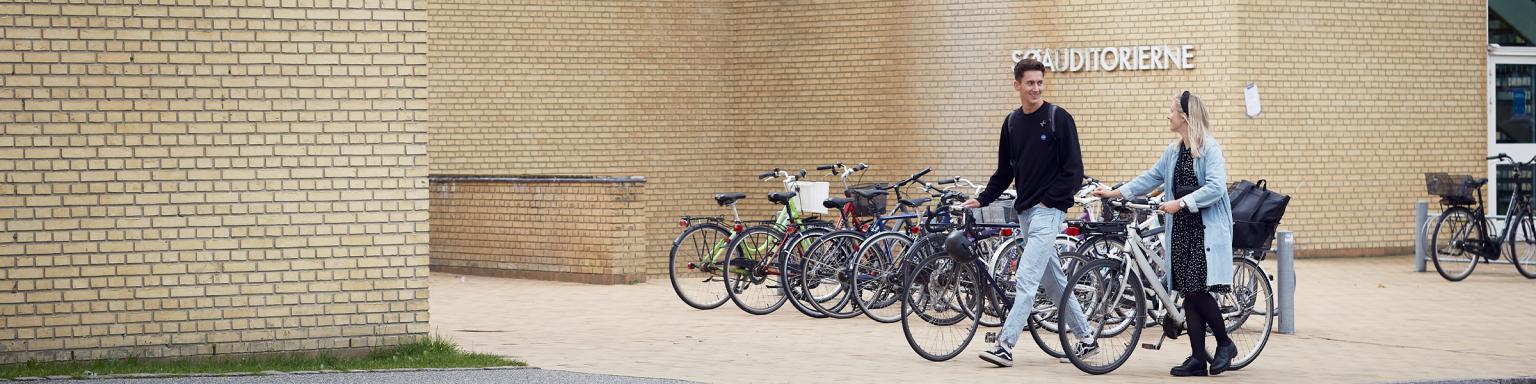 gallery image bikes.jpg