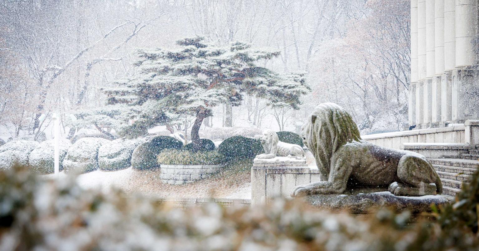 Kyung Hee University