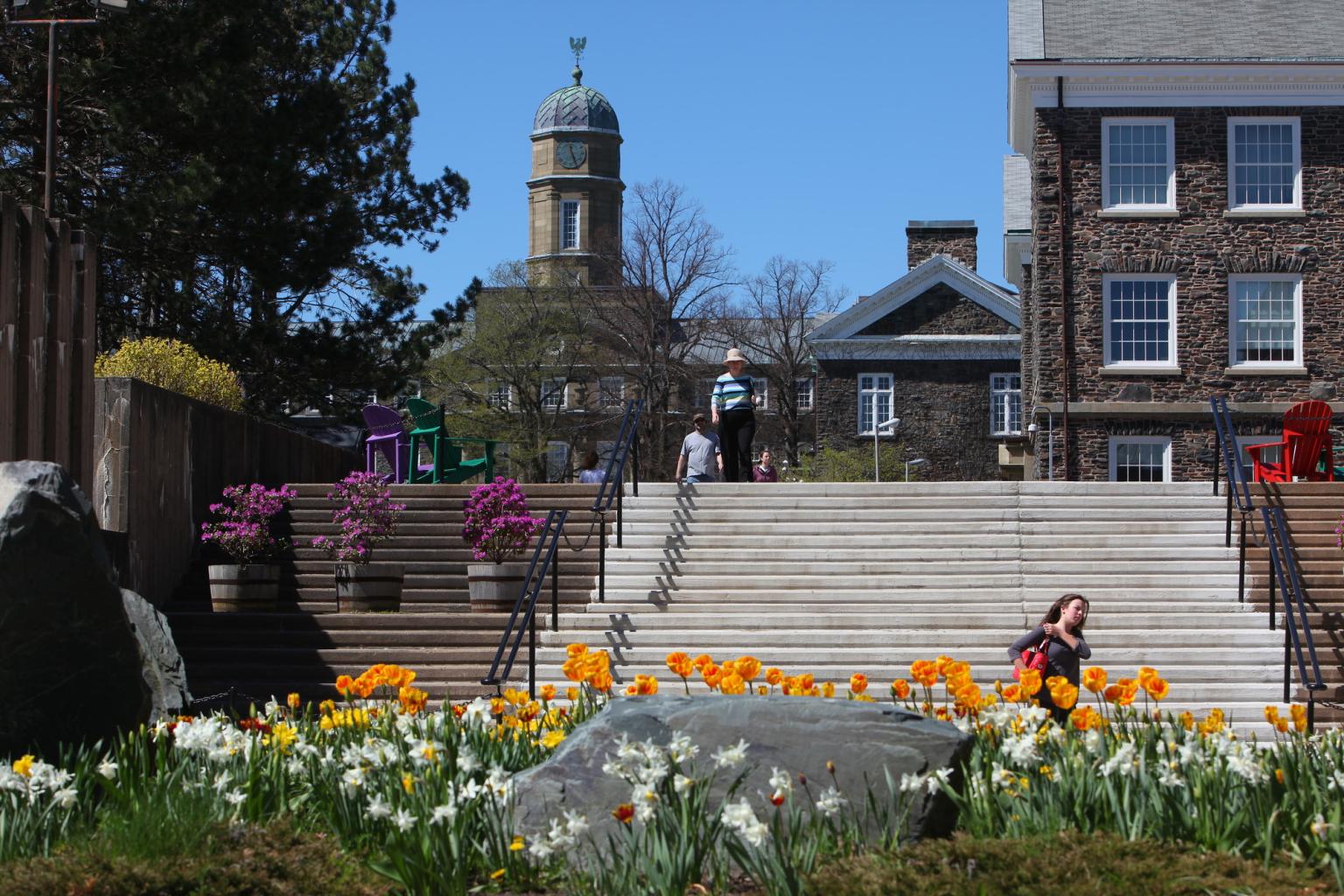 Steps up to Henry Hicks building.JPG