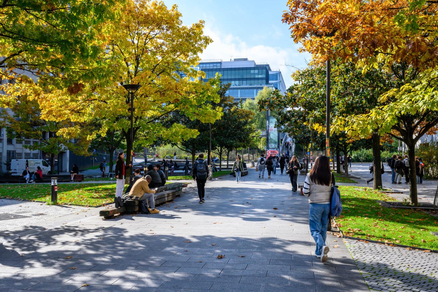 Université Paris Cité