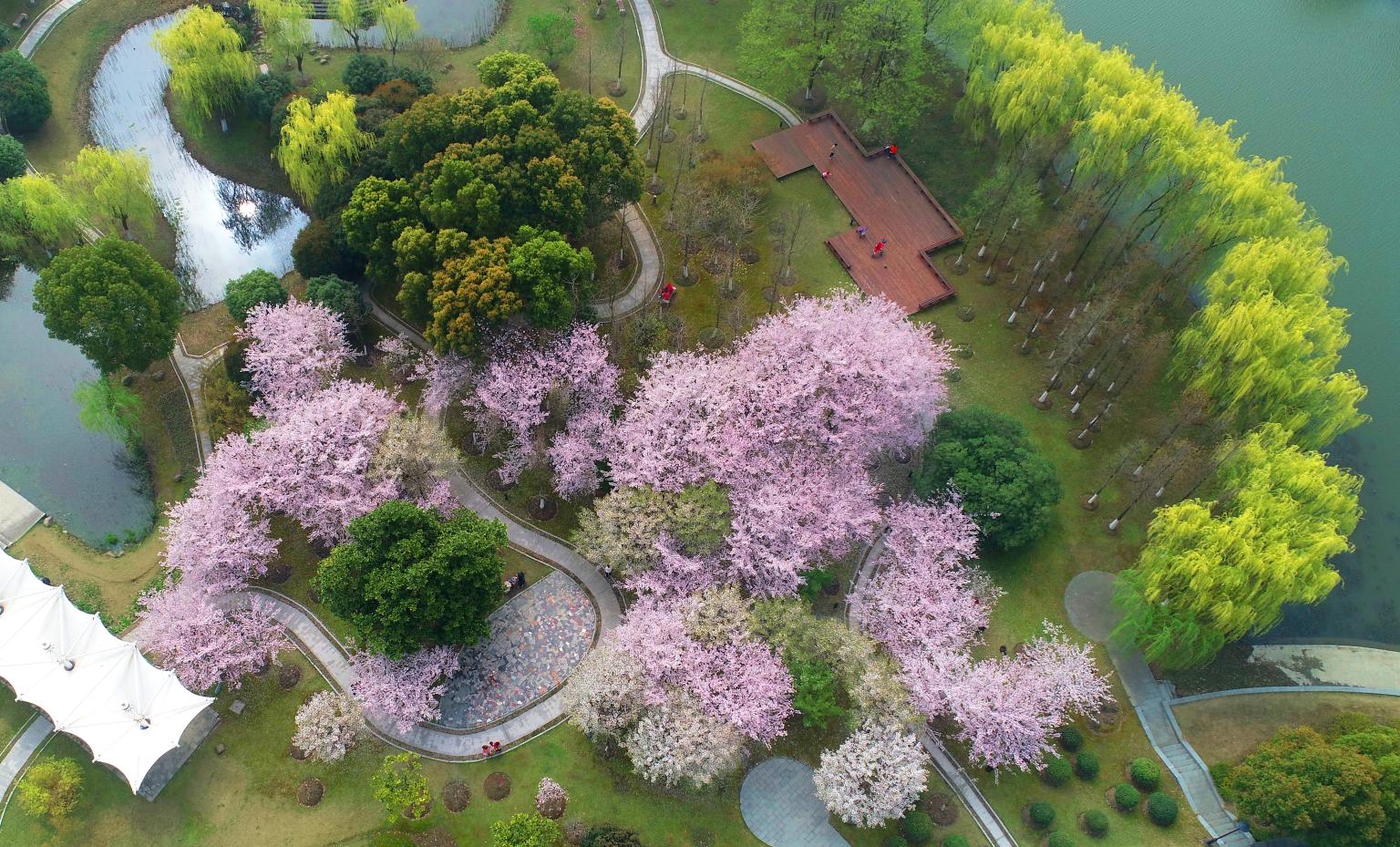 Jiangnan University