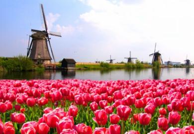 Netherlands