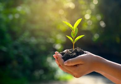 Woman holding a budding plant in her hands