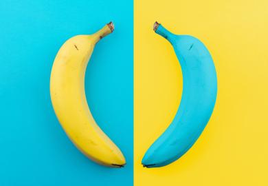 Yellow banana on blue background and blue banana on yellow background