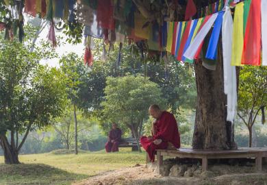 Buddhist monk reads underneath prayer flags in Nepal