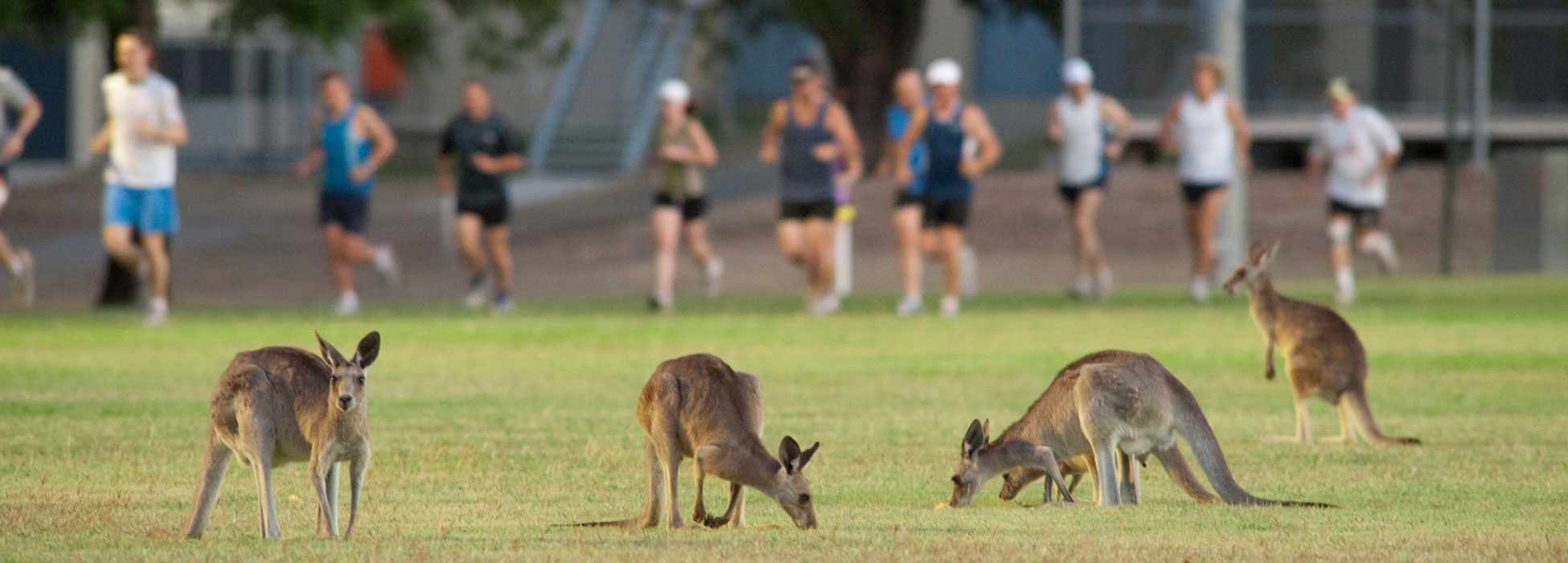 central-queensland-university-world-university-rankings-the