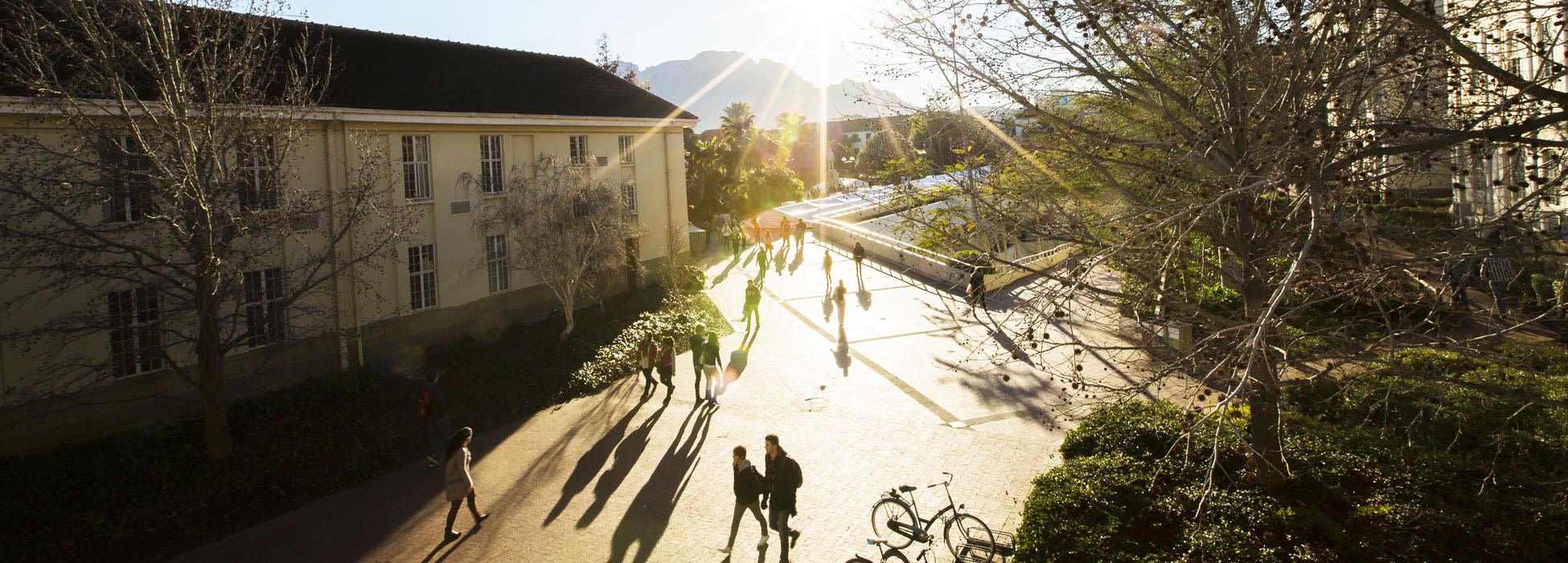 statute of stellenbosch university