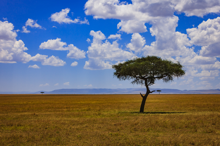 Introducing our Sub-Saharan Africa University Rankings advisory board ...