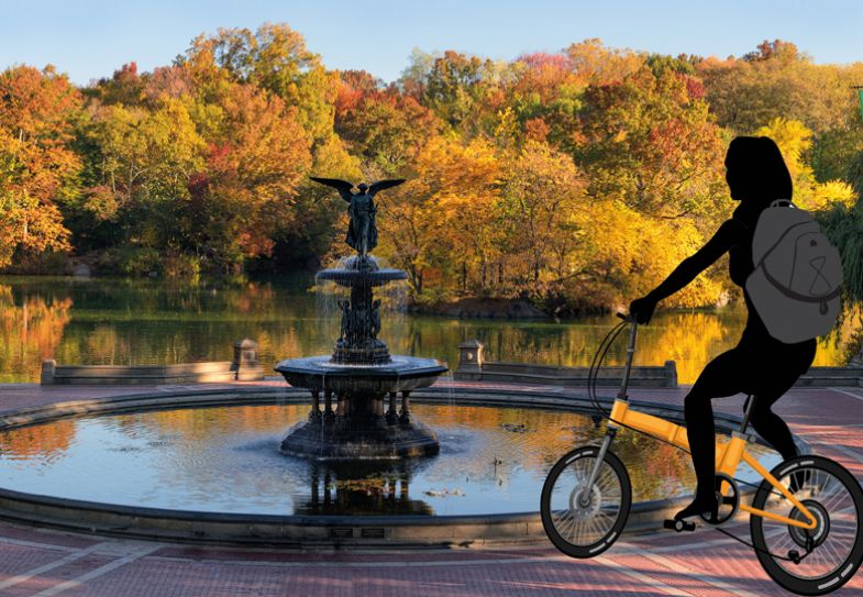 Montage of a lady cycling in Central Park at the Bethesda Fountain, New York