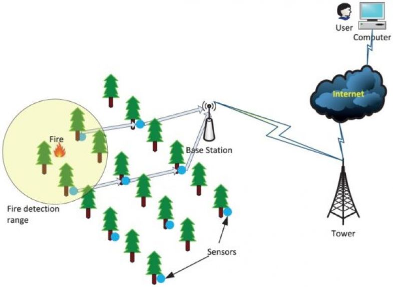 Tec De Monterrey Scientists Create A New Network To Prevent Forest Fires Times Higher 