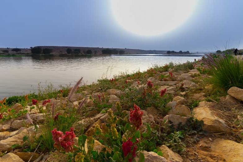 Creating artificial lakes in water stressed countries Times