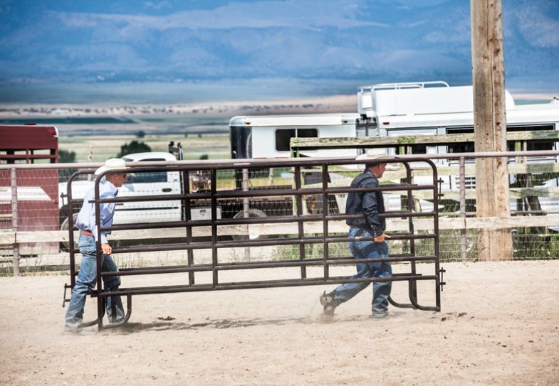 Two cowboys help at rodeo carrying metal gates