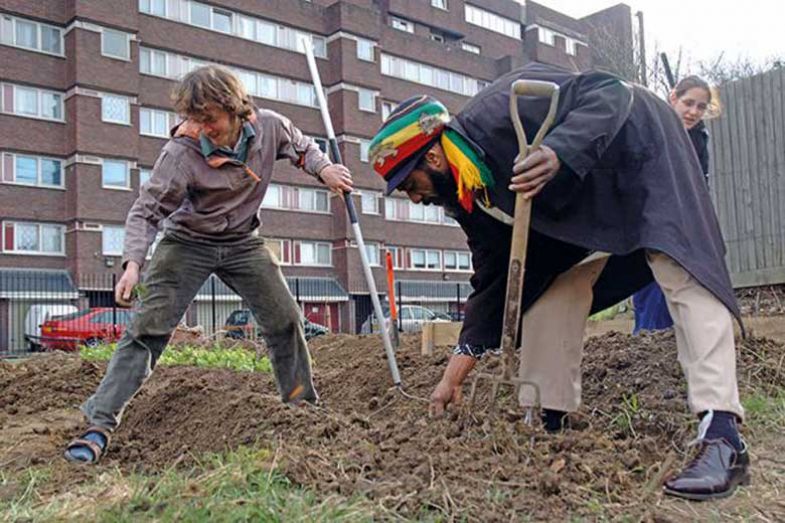 working-on-an-allotment