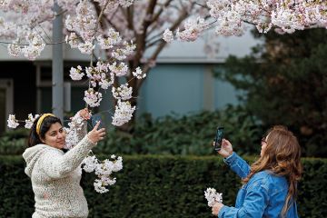 two women take photos with spring blossoms
