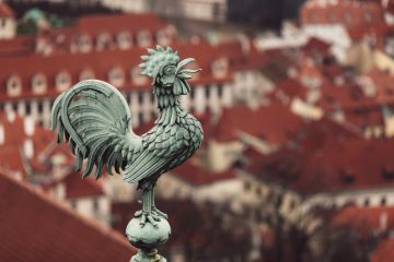 Rooster statue at St. Vitus Cathedral, Prague