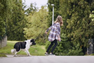 Teenage girl pulling stubborn dog
