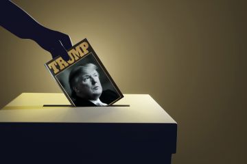 Montage of a hand placing a book about Trump into the voting box to illustrate Will Trump-lit affect the US election?