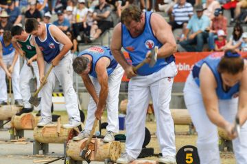  A group of wood choppers in a competition in Sydney to illustrate Languages face chop as Macquarie focuses on ‘cultural fluency’