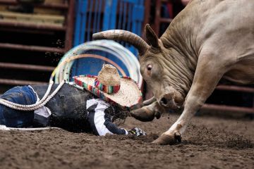 Person falls to the ground during bull riding in a rodeo event to illustrate US accreditors plead for political relief as attacks mount