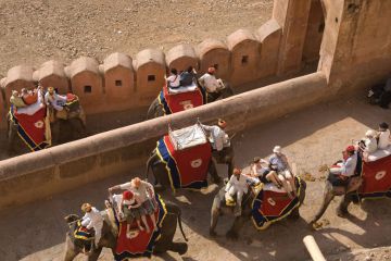 Tourists ride on elephants up to the Amber Fort, Jaipur, India.