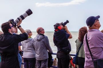 Group of photographers look to the sky waiting ready to take pictures.