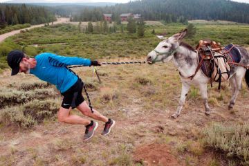 Person trying to pull a donkey to illustrate Canada hesitates to join global research race