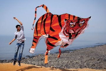 A participant flies a tiger shaped kite during the International Kite Festival in Mumbai 