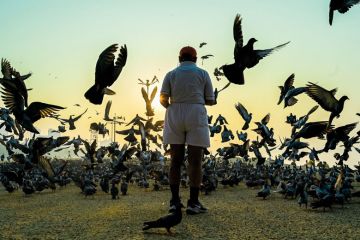 Man feeds pigeons at sunrise in Mumba to illustrate Resignation brings hope of overhaul for India’s rankings