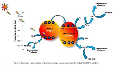 Nip it in the Bud: New, Simple Diagnostic Tool for Effective