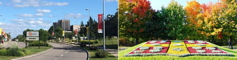 Universite Laval World University Rankings The