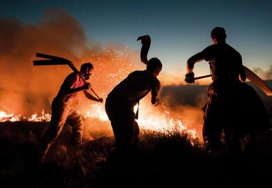 Firefighters tackle a wildfire by beating it. Used to illustrate whether the OfS has the right tools to tackle the challenges faced by the university sector.