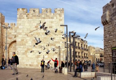 Pigeons scatter into the air at the plaza outside Jaffa Gate in Jerusalem's Old City.